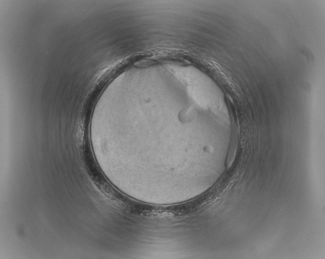 X0000115170640200911181406