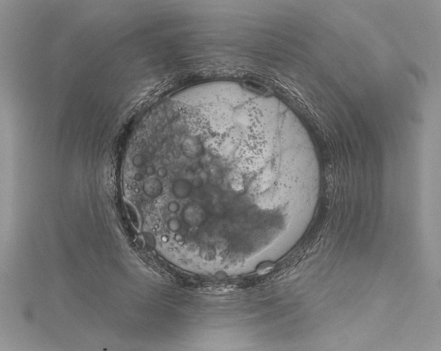 X0000115170642200911181406