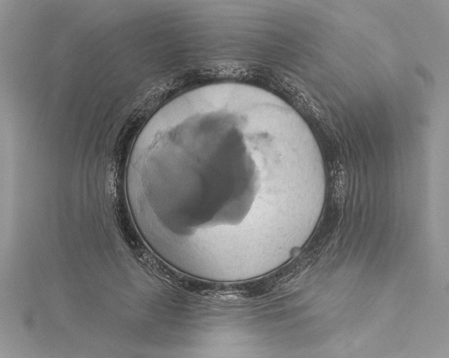 X0000115170643200911181406