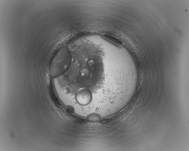 X0000115170644200911181406