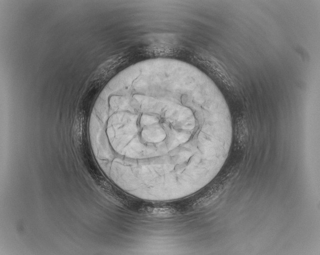 X0000115170645200911181406