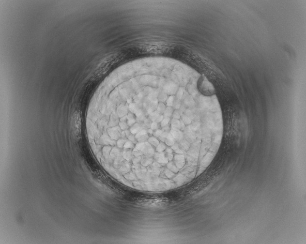 X0000115170646200911181406