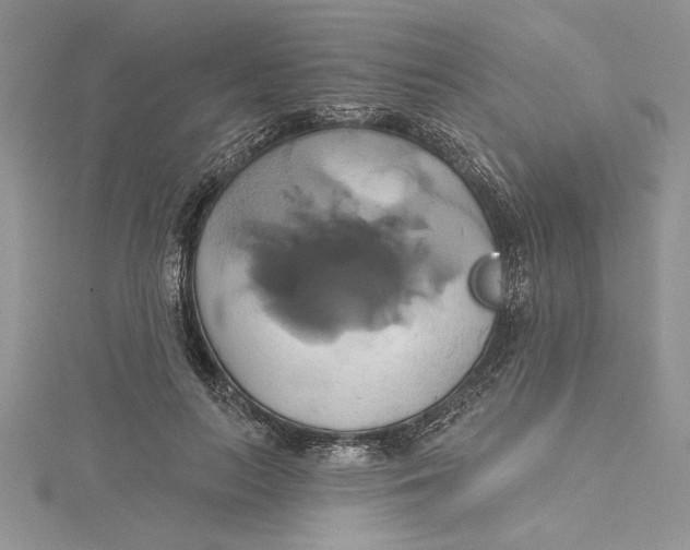 X0000115170647200911181406