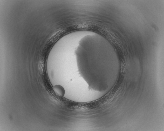 X0000115170648200911181406