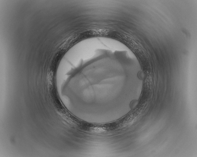 X0000115170649200911181406