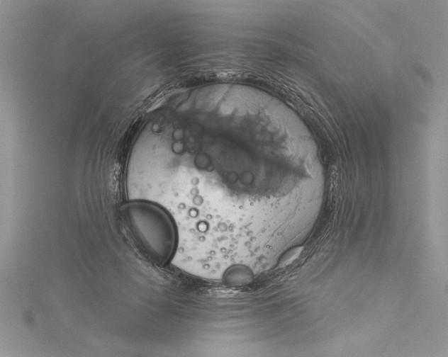 X0000115170650200911181406