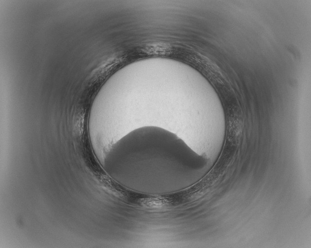 X0000115170652200911181406