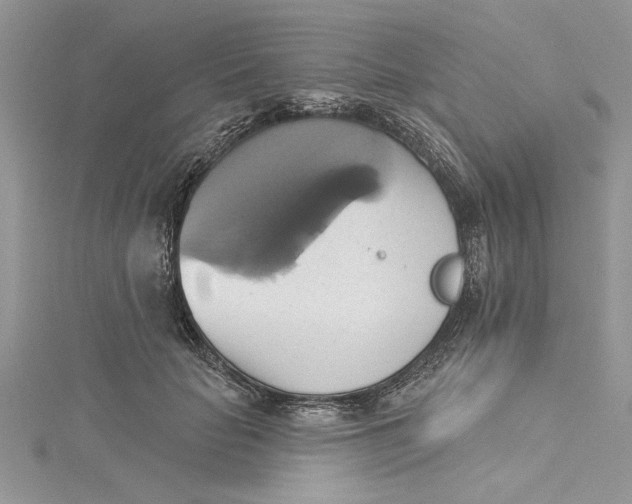 X0000115170653200911181406