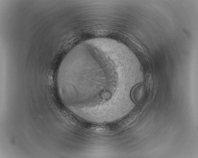 X0000115170655200911181407