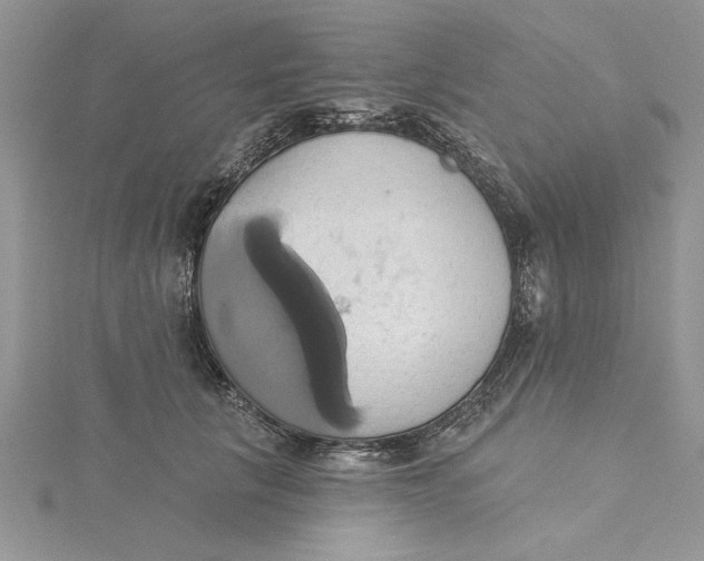 X0000115170657200911181407