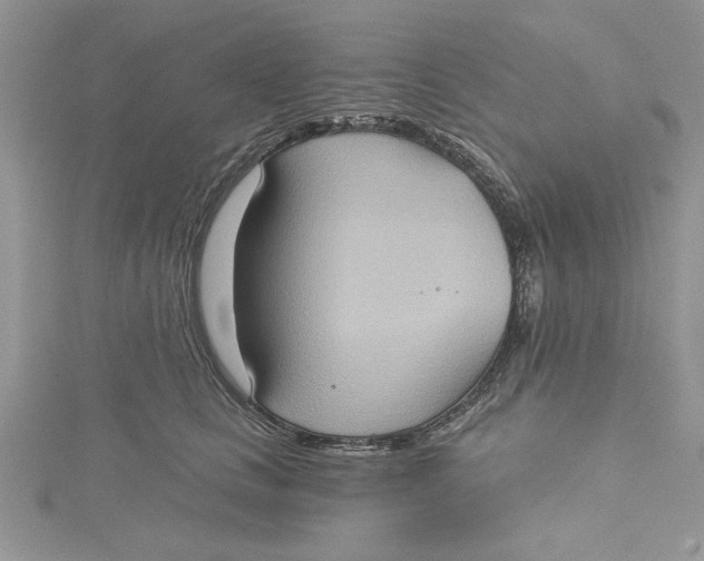 X0000115170661200911181407