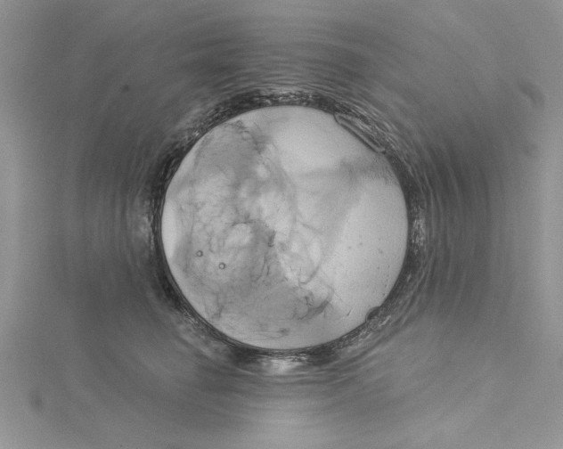 X0000115170662200911181407