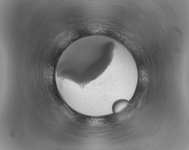 X0000115170664200911181407