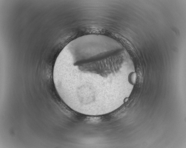 X0000115170665200911181407