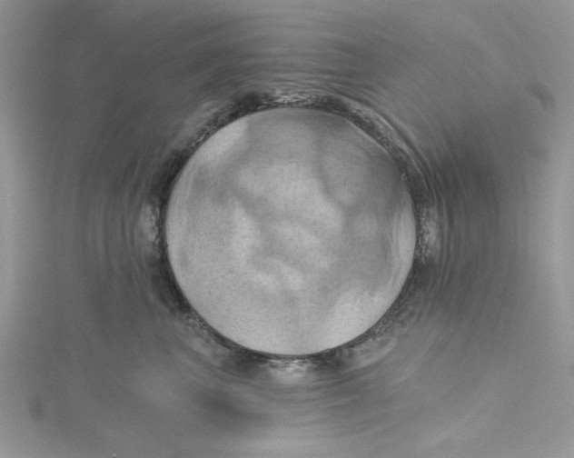 X0000115170667200911181407