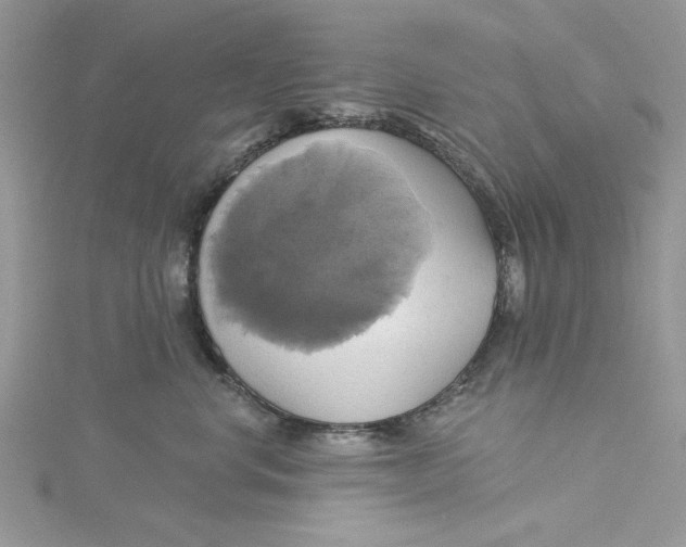 X0000115170668200911181407