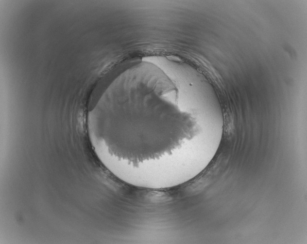 X0000115170669200911181407