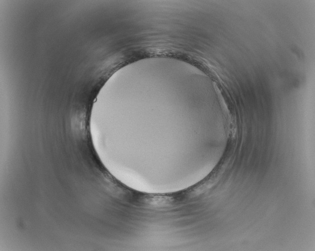 X0000115170670200911181407