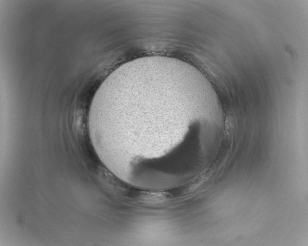 X0000115170671200911181407