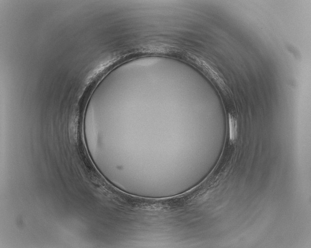 X0000115170675200911181406