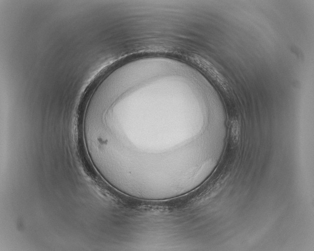 X0000115170676200911181406