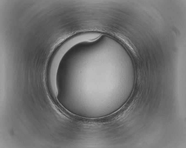 X0000115170677200911181406