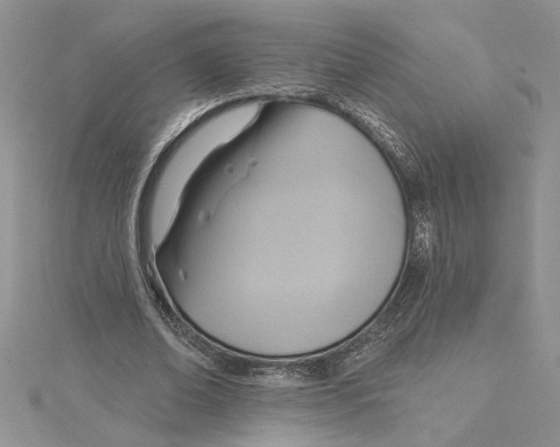 X0000115170678200911181406