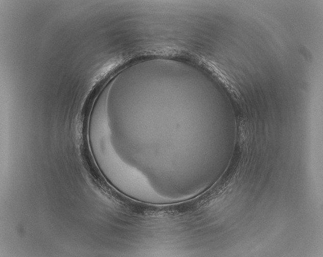 X0000115170679200911181406