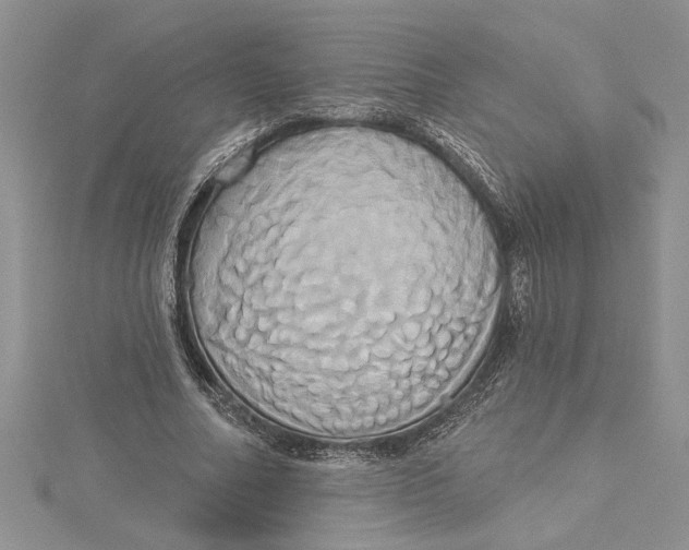 X0000115170682200911181406