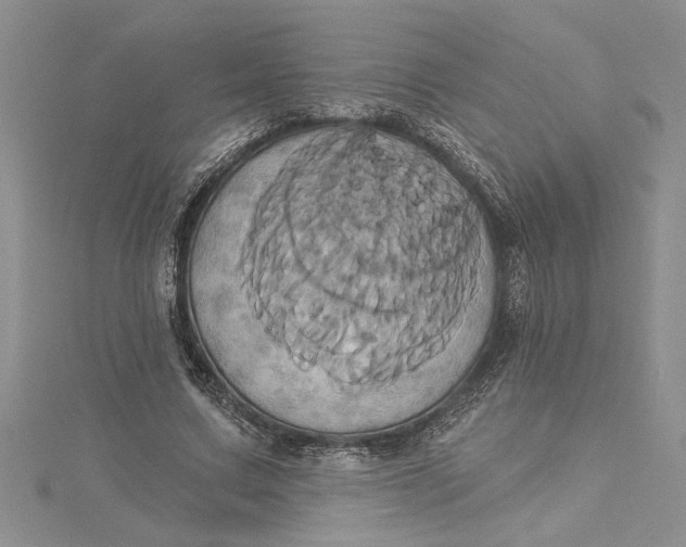 X0000115170683200911181406