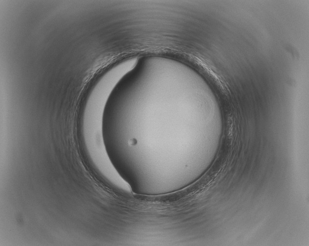 X0000115170685200911181406