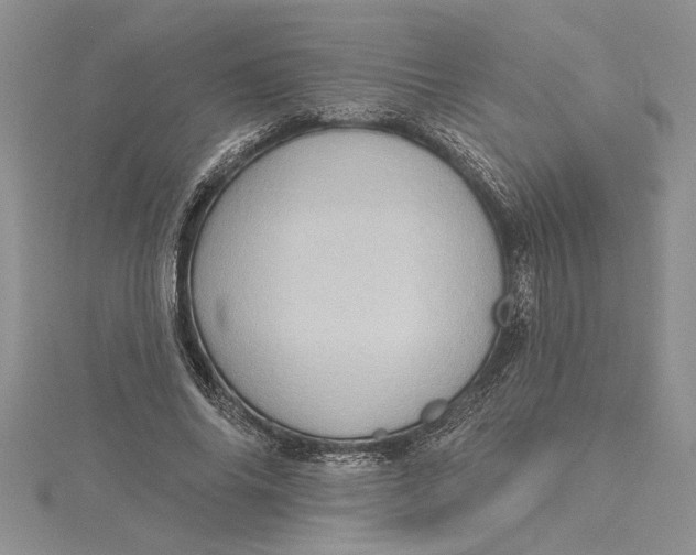 X0000115170686200911181406