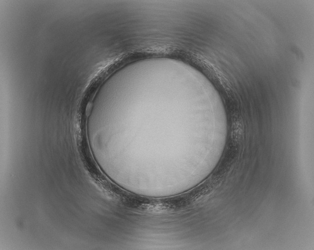 X0000115170688200911181406