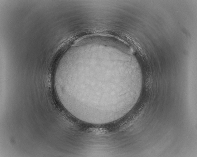 X0000115170689200911181406