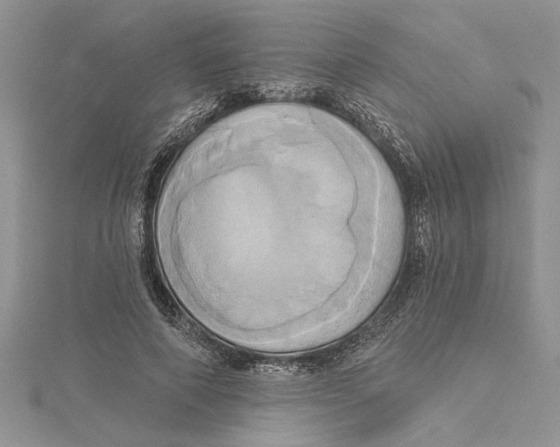 X0000115170690200911181406