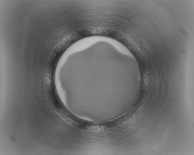 X0000115170691200911181406