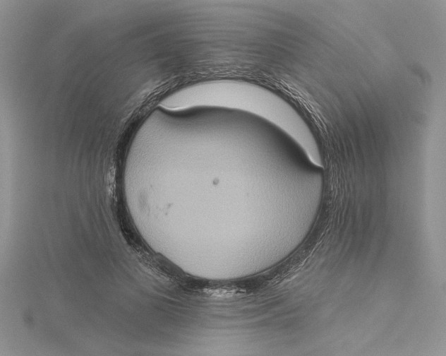 X0000115170693200911181406