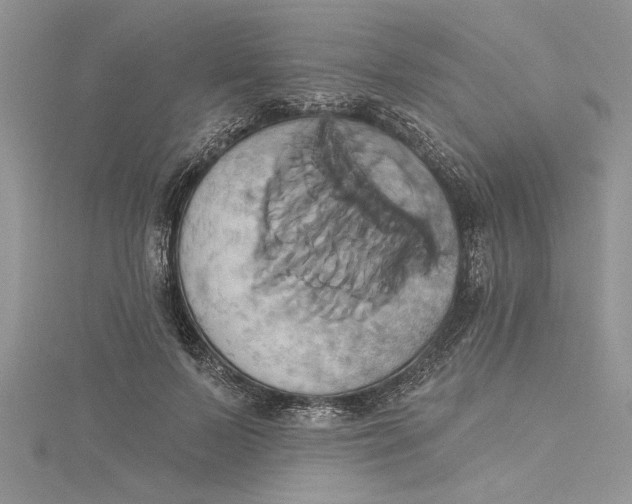 X0000115170695200911181406