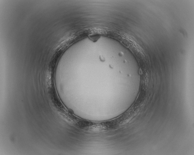 X0000115170696200911181406