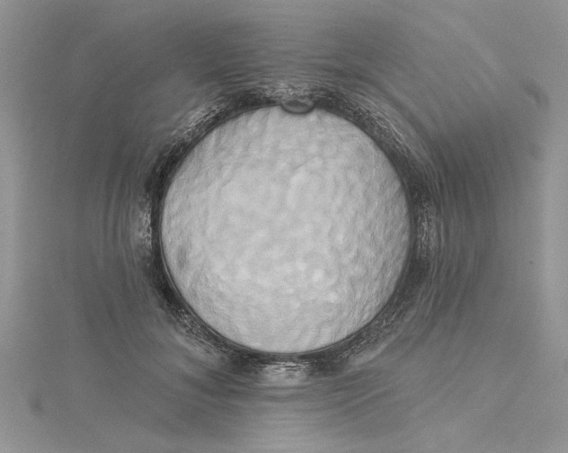 X0000115170700200911181406