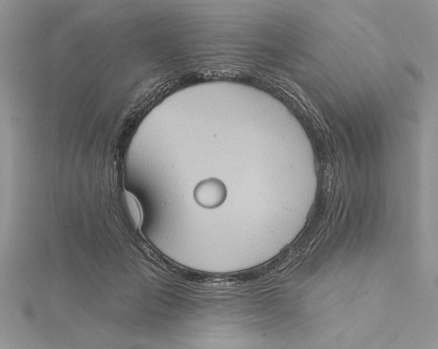 X0000115170701200911181406