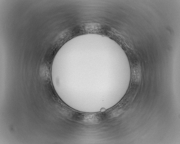 X0000115170705200911181406