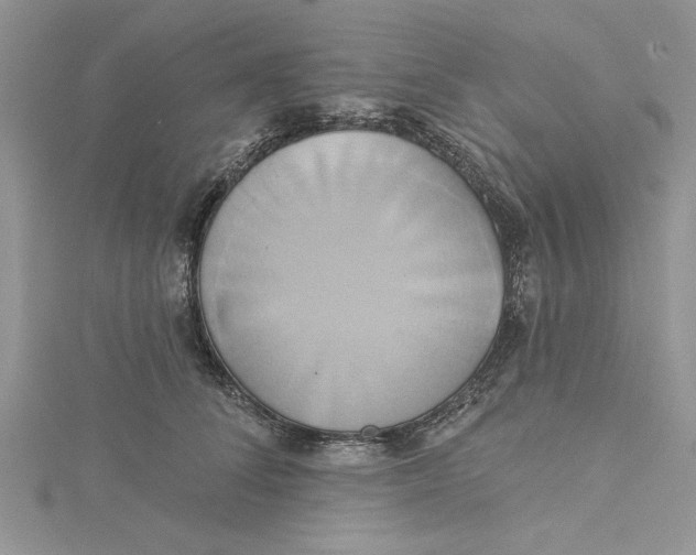 X0000115170708200911181406