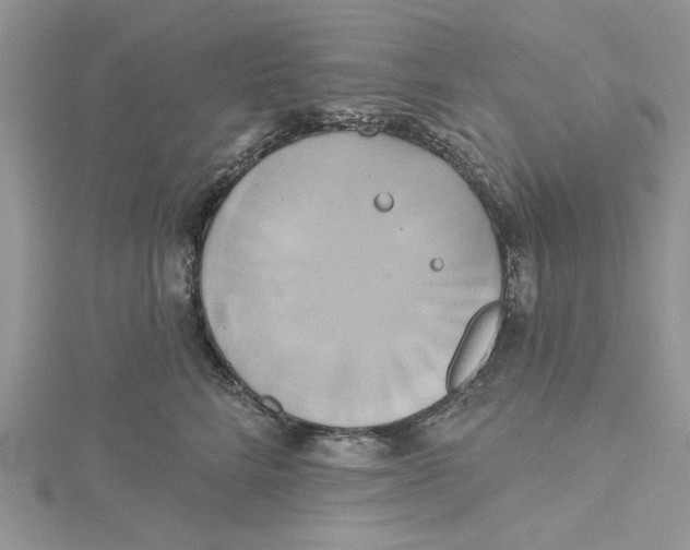 X0000115170712200911181406