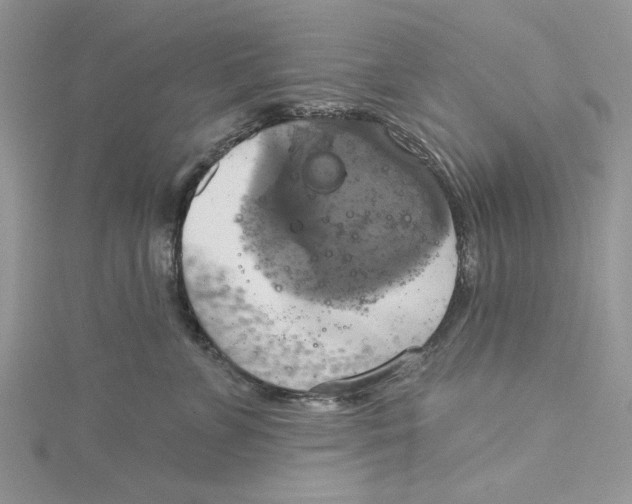 X0000115170715200911181405