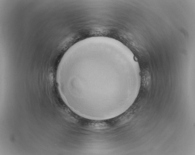 X0000115170716200911181405