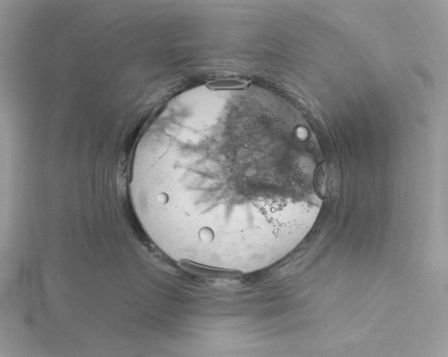 X0000115170719200911181405