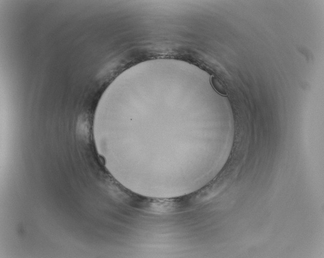 X0000115170720200911181405