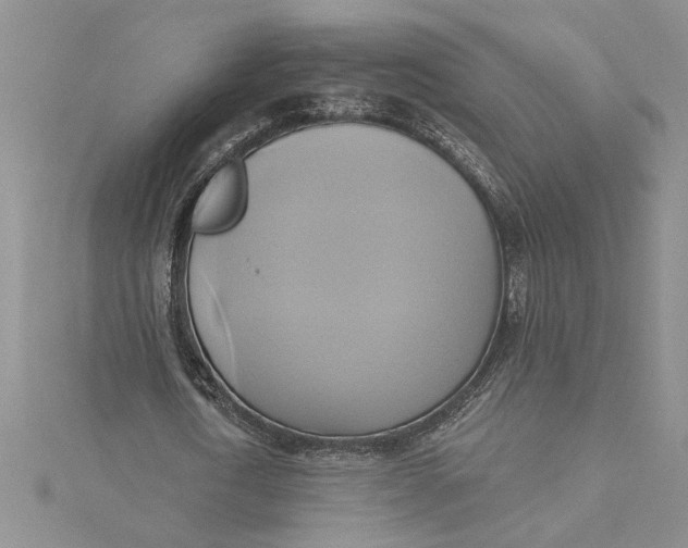 X0000115170722200911181405