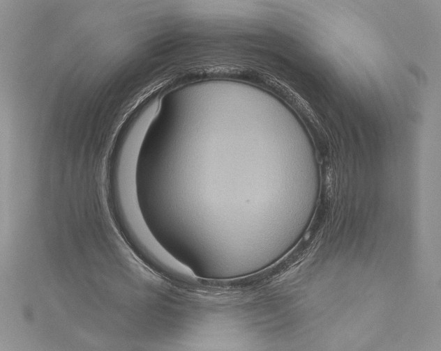 X0000115170725200911181405